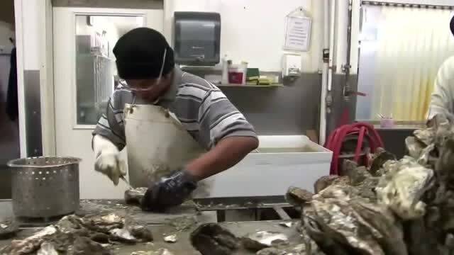 牡蛎处理工厂,工人几秒开一个,生产加工后做成罐头食品